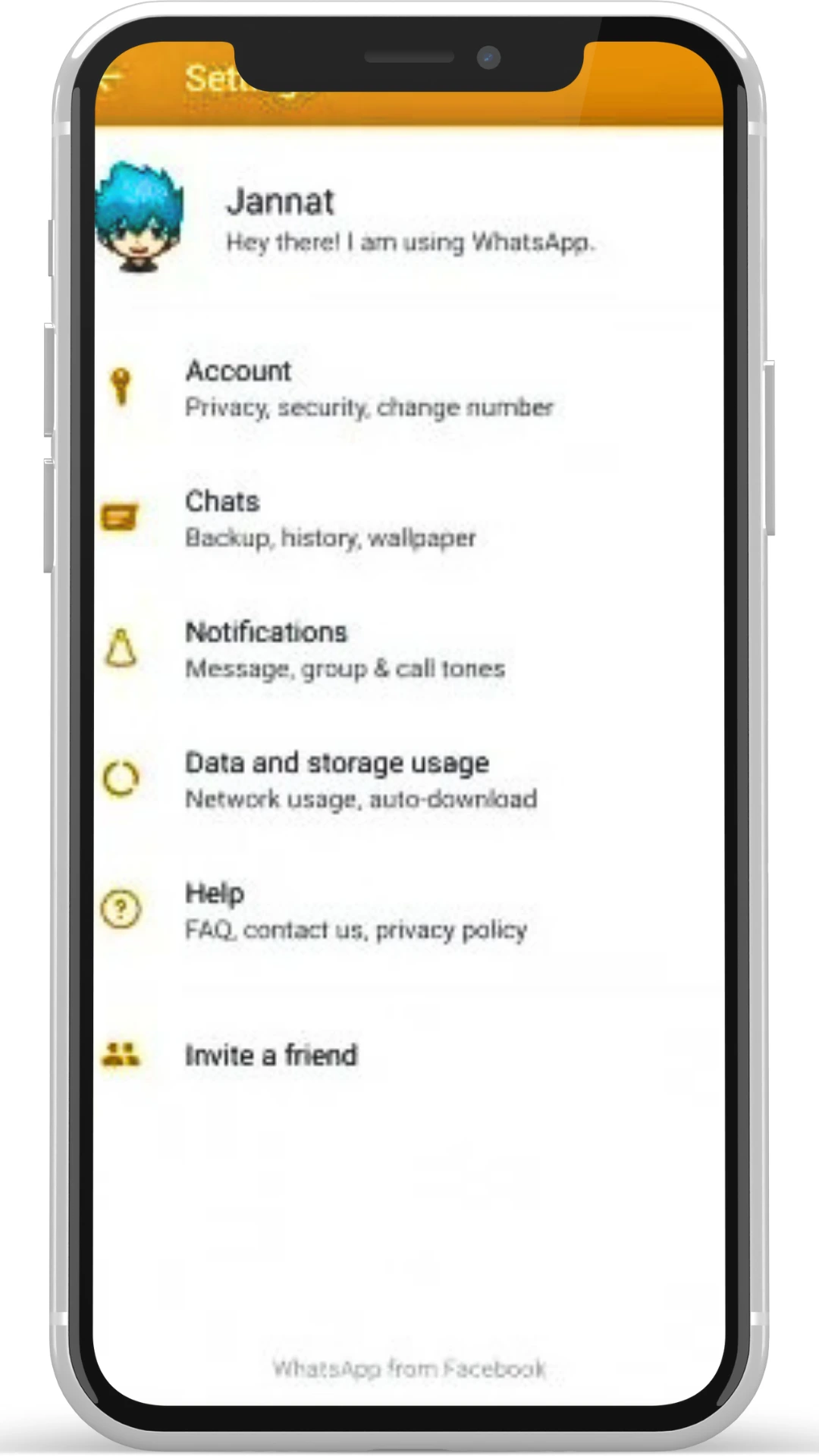 ns whatsapp interface 5
